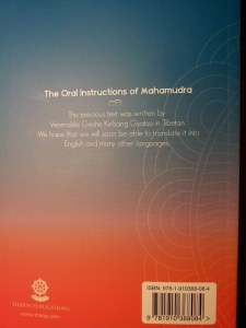 Back-TheOralInstructionOfMahamudra-KelsangGyatso